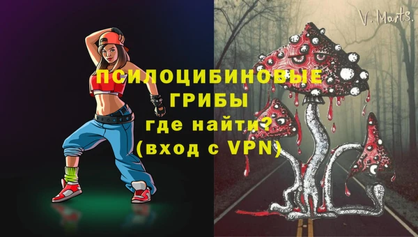крисы Касимов