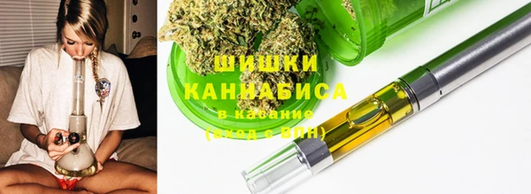 ГАЛЛЮЦИНОГЕННЫЕ ГРИБЫ Навашино